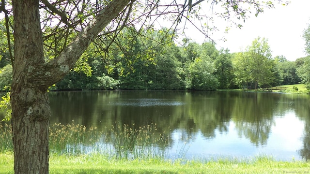 4 Rosewood Cir Unit 4, Monroe, CT 06468 - water view featuring a heavily wooded area