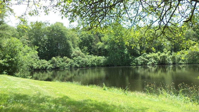 4 Rosewood Cir Unit 4, Monroe, CT 06468 - water view featuring a heavily wooded area