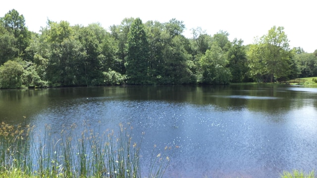4 Rosewood Cir Unit 4, Monroe, CT 06468 - water view with a forest