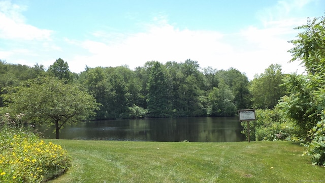 4 Rosewood Cir Unit 4, Monroe, CT 06468 - water view with a forest