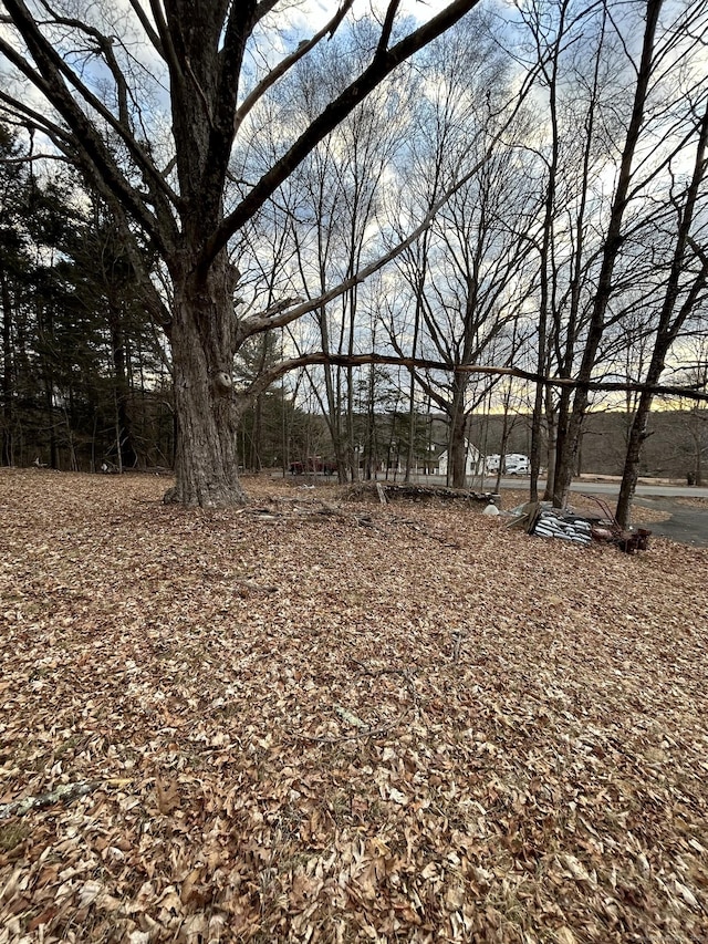 1639 N River Rd, Coventry, CT 06238 - photo 20