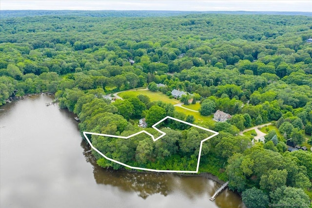 41B River Rd, Essex, CT 06426