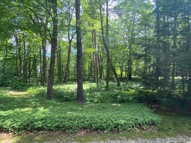 129 Forge Dr, Avon, CT 06001 - photo 7