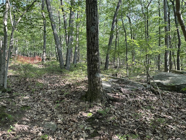 130 Mountain View Rd, Glastonbury, CT 06033 - photo 18