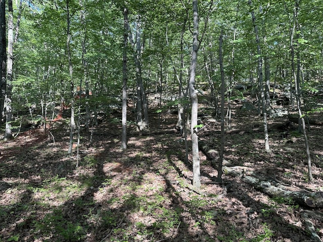 130 Mountain View Rd, Glastonbury, CT 06033 - photo 24