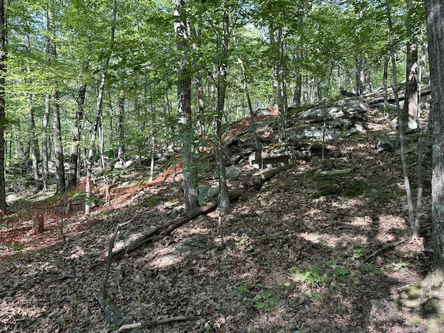 130 Mountain View Rd, Glastonbury, CT 06033 - photo 25