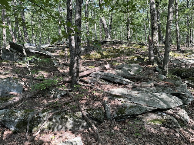 130 Mountain View Rd, Glastonbury, CT 06033 - photo 27