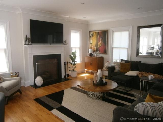 65 Sherwood Pl Unit 65, Greenwich, CT 06830 - living area featuring healthy amount of natural light, crown molding, wood finished floors, and a fireplace with flush hearth