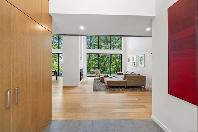 9 Overlook Dr, Salisbury, CT 06039 - hall featuring a towering ceiling, recessed lighting, and light wood finished floors