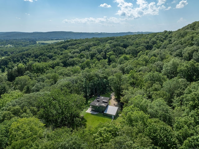 9 Overlook Dr, Salisbury, CT 06039 - view of subject property with a heavily wooded area
