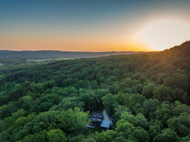 9 Overlook Dr, Salisbury, CT 06039 - bird's eye view of a forest