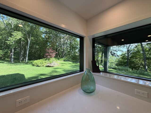 9 Overlook Dr, Salisbury, CT 06039 - interior space
