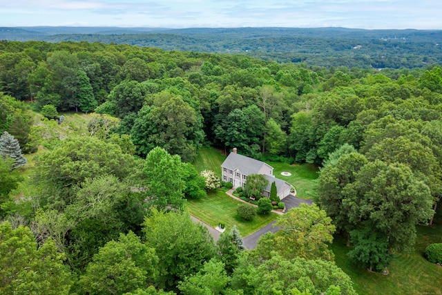 18 Sleepy Hollow Rd, Newtown, CT 06482 - photo 37