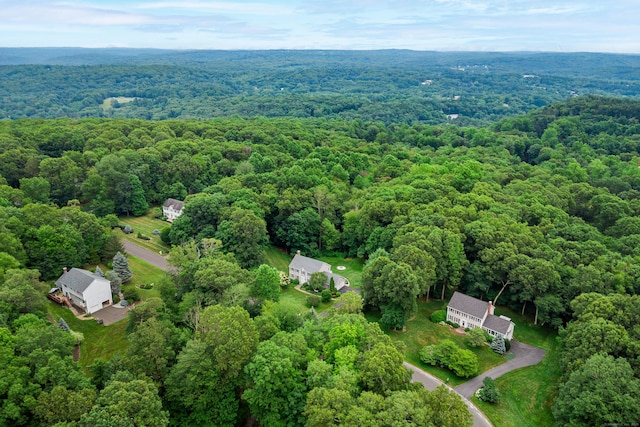 18 Sleepy Hollow Rd, Newtown, CT 06482 - photo 38