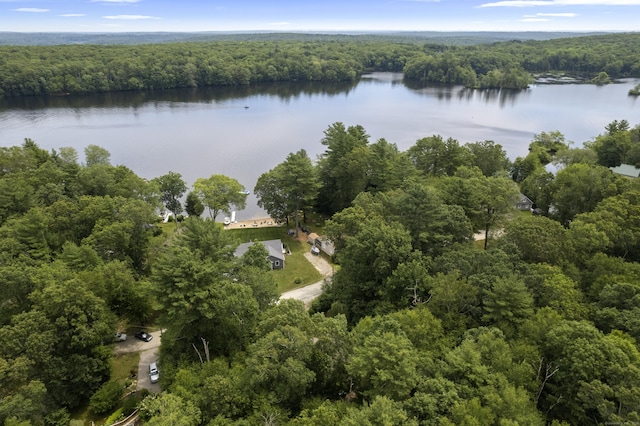 145 Lakeside Dr, Lebanon, CT 06249 - aerial view of property and surrounding area featuring a forest and a nearby body of water