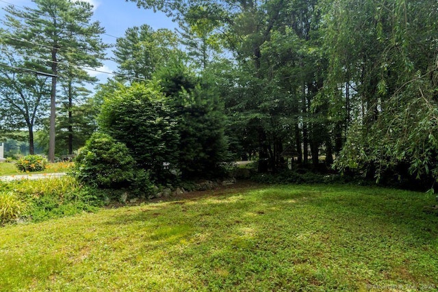 145 Lakeside Dr, Lebanon, CT 06249 - photo 6