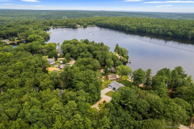 145 Lakeside Dr, Lebanon, CT 06249 - photo 20