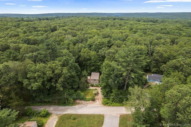 145 Lakeside Dr, Lebanon, CT 06249 - photo 21