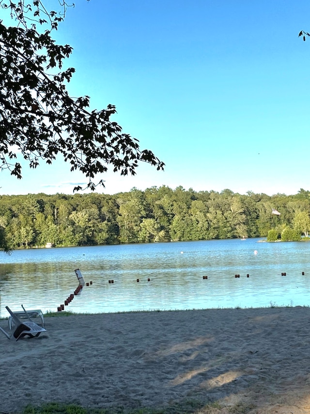 145 Lakeside Dr, Lebanon, CT 06249 - photo 25