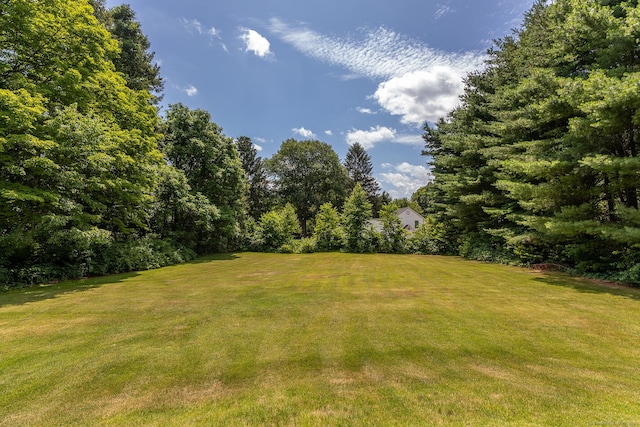 14 Cook St, Washington, CT 06794 - photo 3