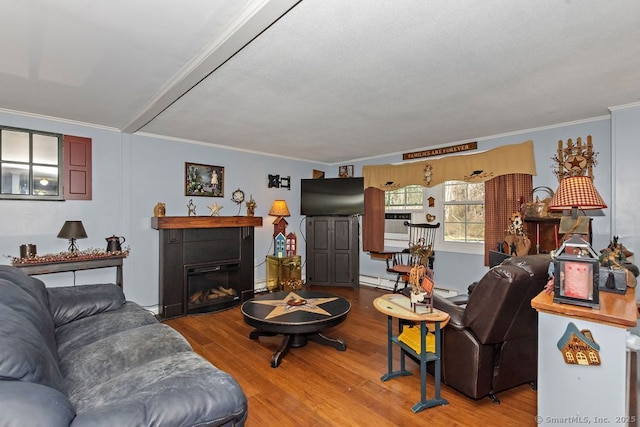 31 Bob White Way, Plainfield, CT 06354 - living room featuring ornamental molding, wood finished floors, and a glass covered fireplace