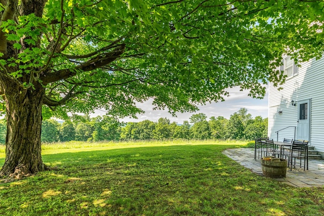 23 Bell Hill Rd, Washington, CT 06793 - view of grassy yard with a patio area