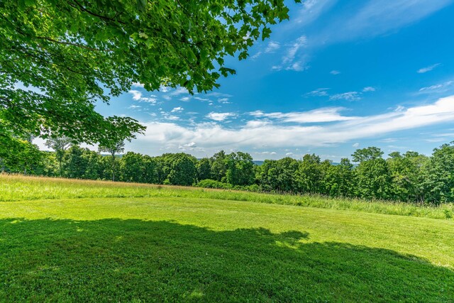 23 Bell Hill Rd, Washington, CT 06793 - view of grassy yard