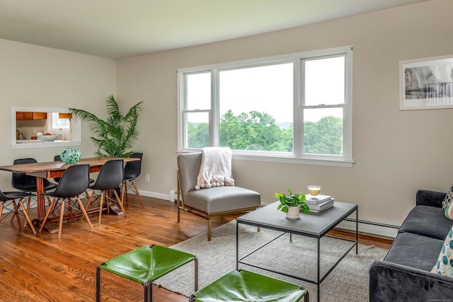 23 Bell Hill Rd, Washington, CT 06793 - living room with a baseboard radiator, plenty of natural light, and wood finished floors