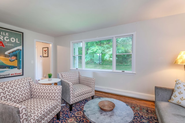 23 Bell Hill Rd, Washington, CT 06793 - sitting room with a baseboard radiator and wood finished floors