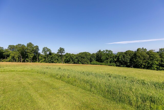 23 Bell Hill Rd, Washington, CT 06793 - view of tree filled area with a view of rural / pastoral area