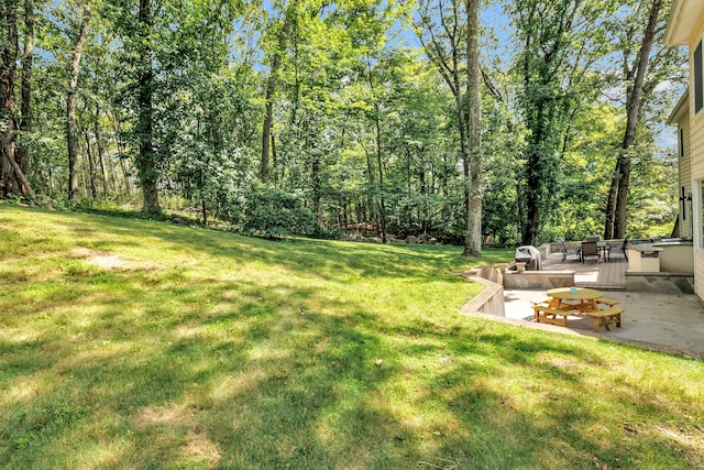 19 Woodlawn Dr, Trumbull, CT 06611 - view of green lawn featuring a patio area