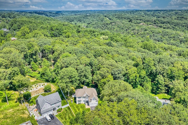 19 Woodlawn Dr, Trumbull, CT 06611 - bird's eye view of a forest