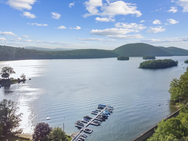 17 Candlewood Hts, New Milford, CT 06776 - photo 2