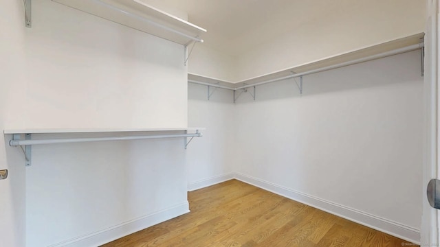 12 Woodland Dr, Milford, CT 06460 - walk in closet with light wood finished floors