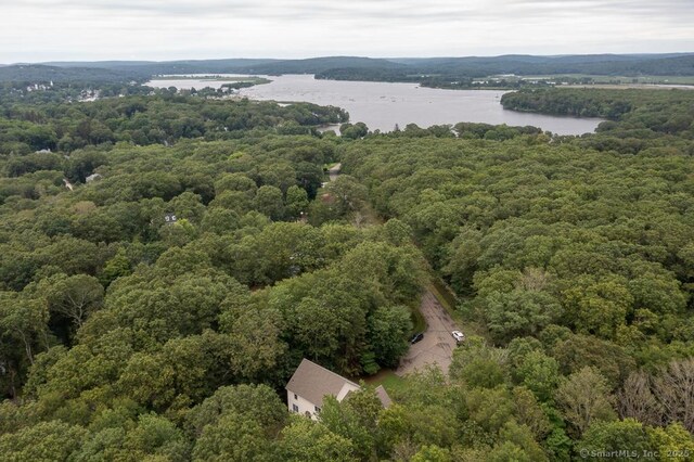 35 Essex Hills Dr, Essex, CT 06426 - photo 28