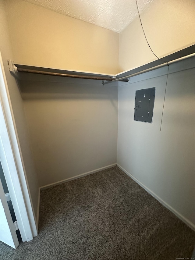 65 Horse Pond Rd Apt G, Salem, CT 06420 - walk in closet with electric panel and carpet floors