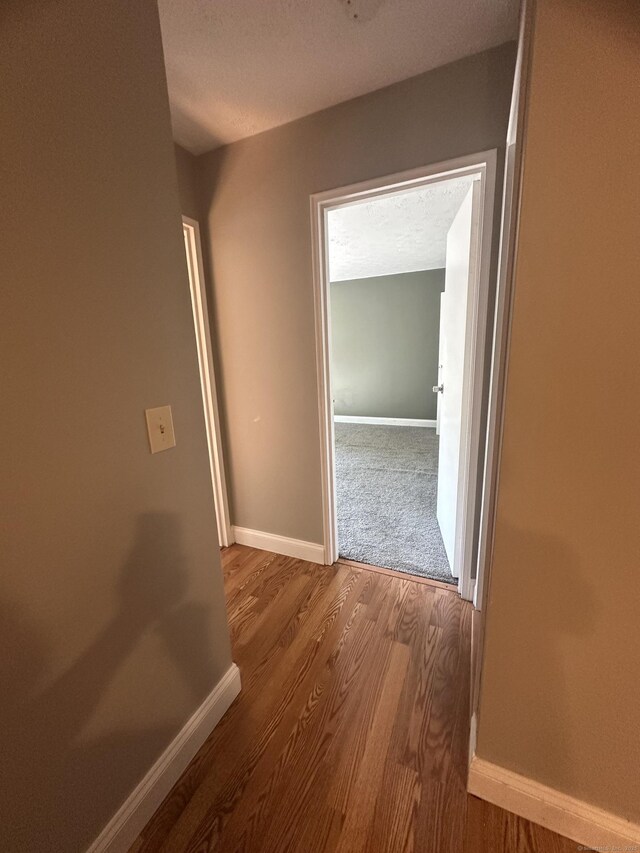 65 Horse Pond Rd Apt G, Salem, CT 06420 - hall featuring wood finished floors and a textured ceiling