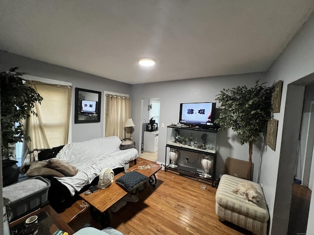 141 County St, New Haven, CT 06511 - living room with light wood finished floors