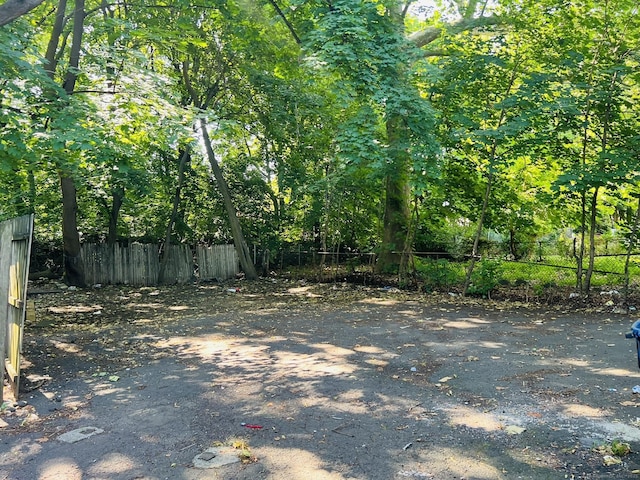 141 County St, New Haven, CT 06511 - view of yard