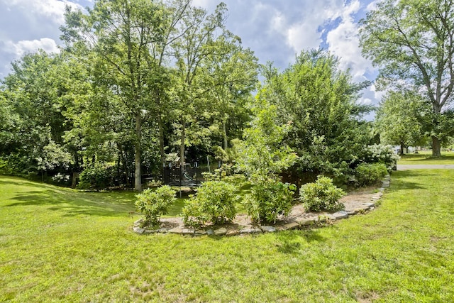 53 E St, Stafford, CT 06076 - photo 33
