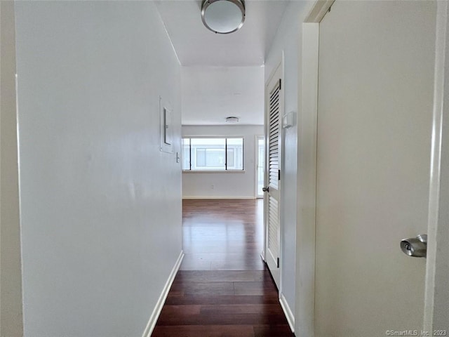 296 Main Ave Unit 1, Norwalk, CT 06851 - corridor featuring dark wood-style flooring and baseboards