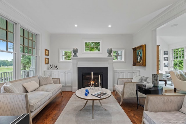 206 Fox Hopyard Rd, East Haddam, CT 06423 - living area with a glass covered fireplace, dark wood finished floors, ornamental molding, and recessed lighting
