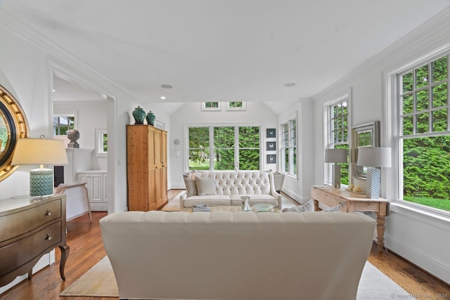206 Fox Hopyard Rd, East Haddam, CT 06423 - living room with healthy amount of natural light, crown molding, wood finished floors, and vaulted ceiling
