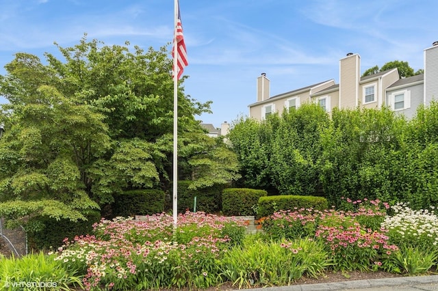 55 Mill Plain Rd Unit 19-3, Danbury, CT 06811 - photo 2