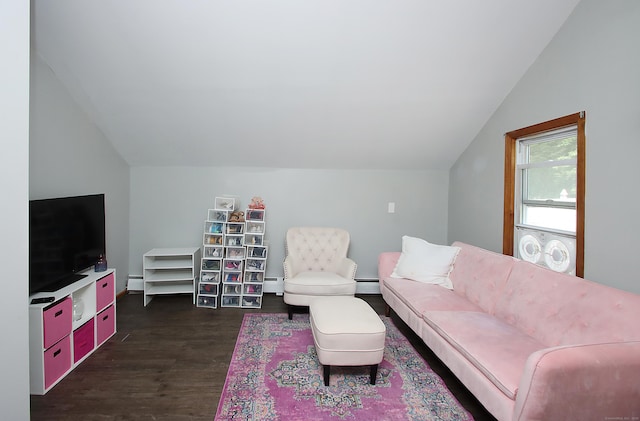 58 Litchfield St, Thomaston, CT 06787 - living area featuring vaulted ceiling, dark wood finished floors, and a baseboard radiator