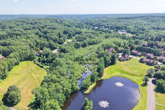 16 Juniper Cir Unit 16, Monroe, CT 06468 - aerial view of a large body of water and a heavily wooded area