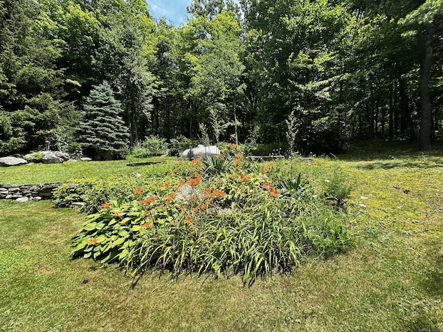 874 Chesterfield Rd, Montville, CT 06370 - photo 17