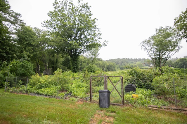 23 E St, Stafford, CT 06076 - view of yard