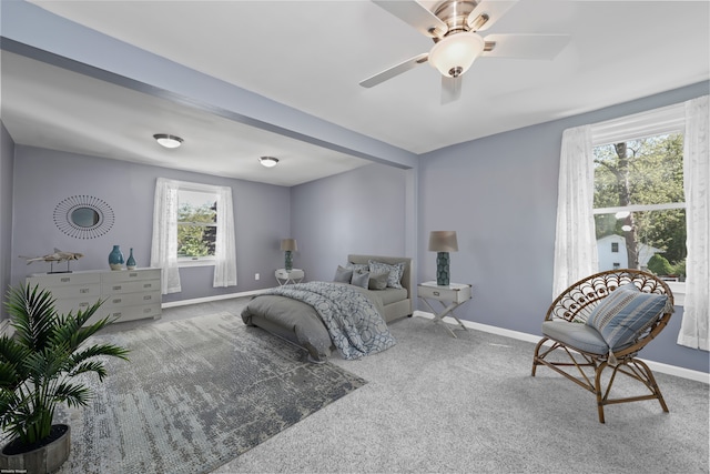 217 Lake Plymouth Blvd, Plymouth, CT 06782 - photo 18