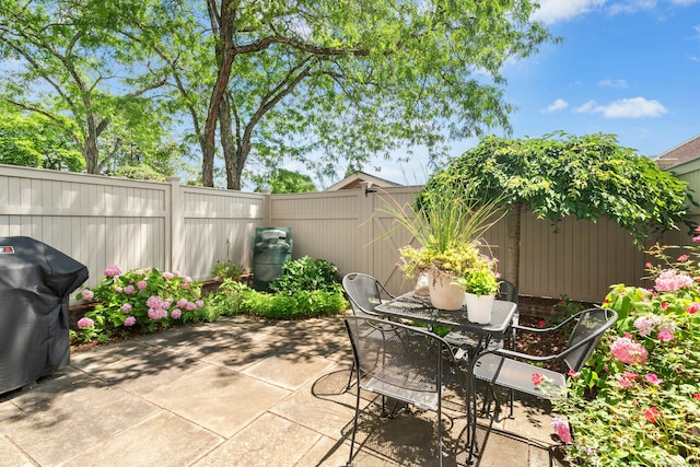 312 Elm St Apt 9, New Canaan, CT 06840 - fenced backyard with a patio area, grilling area, and outdoor dining space